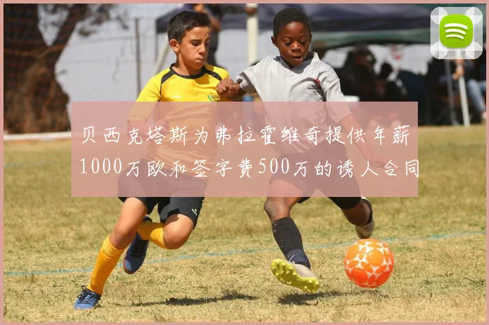 贝西克塔斯为弗拉霍维奇提供年薪1000万欧和签字费500万的诱人合同